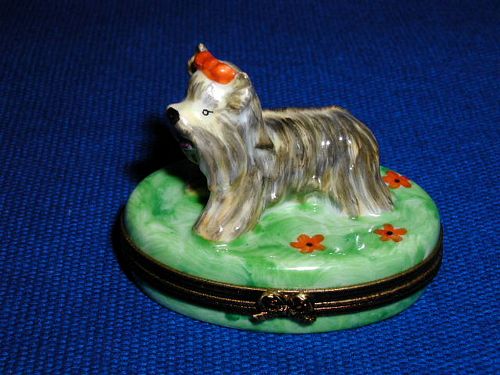 TERRIER ON GRASS